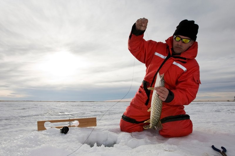 Experience the Thrill of Ice Fishing in the UK's Favourite Live Casinos